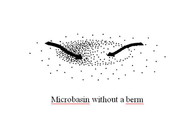 Microbasin without berm